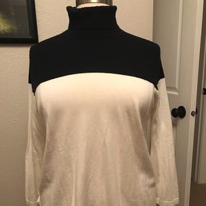 Talbots knit turtleneck sweater